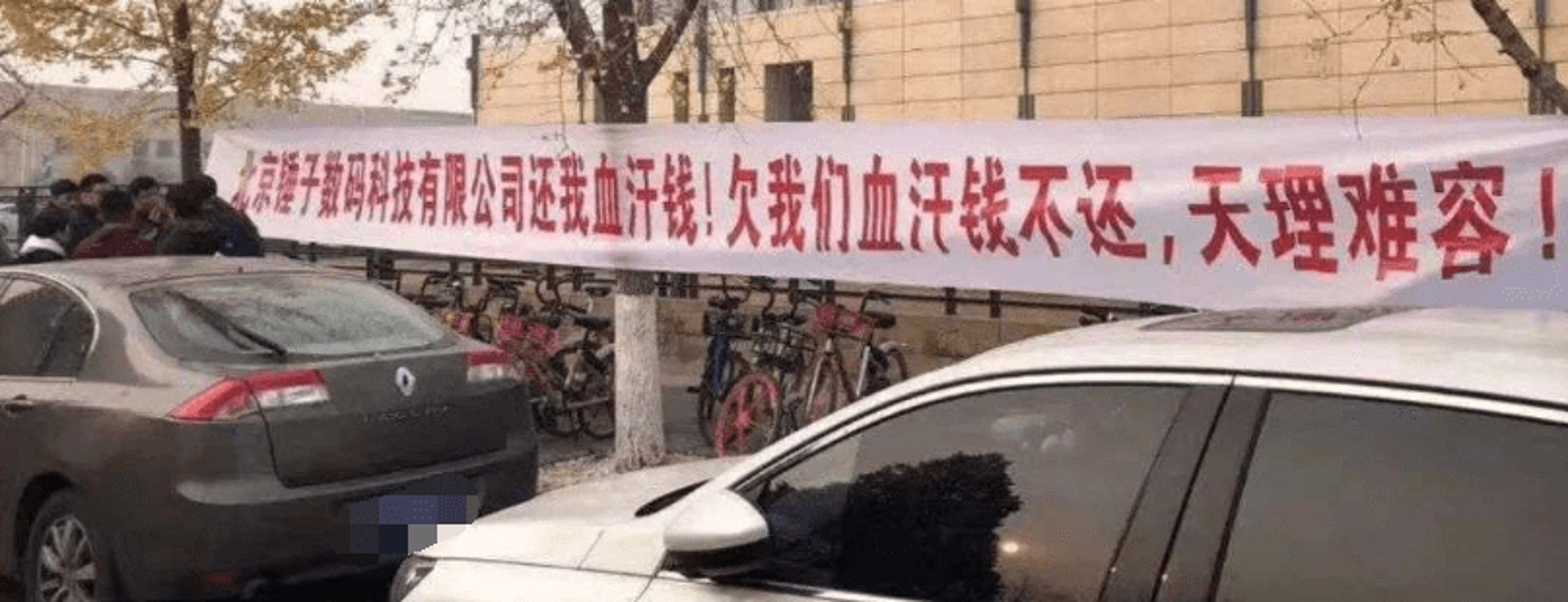 振强供应链